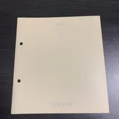 SEVENTEEN ヘンガレ フォトブック ブックレット バーノン