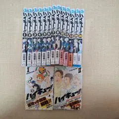 ハイキュー！！