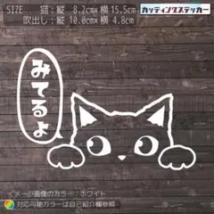 覗き猫④みてるよカッティングステッカー　ドラレコ・録画中・ネコ・リアガラス