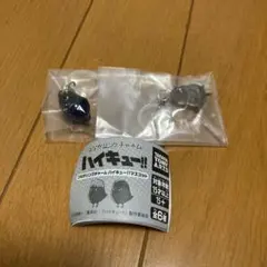 つながリングチャーム ハイキュー!! マスコット カゲガラス ボクトフクロウ