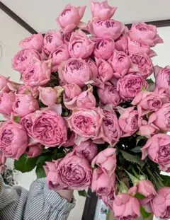 らいおんしっぽ(๑˃̵ᴗ˂̵)様 リクエスト 2点 まとめ商品