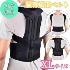 Item thumbnail for item 3acd1310-d953-44ad-8668-c8eec980a29e