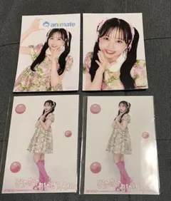 松本かれん　フルーツジッパー　animate タワレコ　L判ブロマイド　生写真