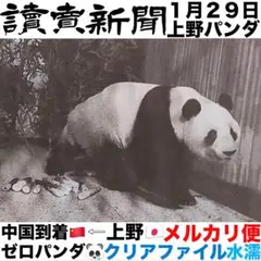 Item thumbnail for item 1e9f1a16-5904-40e8-a55b-6d5bb08a81a4