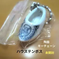 Item thumbnail for item fc188254-21a5-4a02-bedf-4d86c759cd35