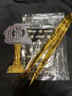 WEST. AWARDペンライト