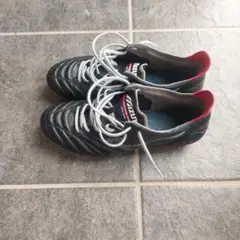 Mizuno Morelia Neo3 25.0