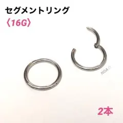 2本　セグメントリング　16G内径6mm フープピアス　ボディピアス