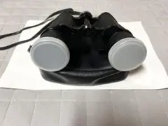 Item thumbnail for item 96b4b267-b255-4896-846d-e697e5902ea6