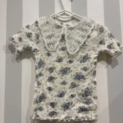 Cottoli 花柄レース襟 Tシャツ 80