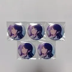 プロセカ グリッター缶バッジ vol.14C 星乃一歌 5点セット 痛バ