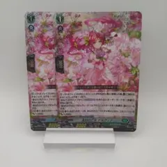 バミュフェス♪♪入賞PRカード＆グッズセット ヴァンガード オリヴィア