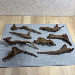 水槽用流木 8本セット M221