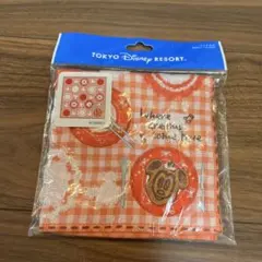 東京ディズニーリゾート ミニタオル