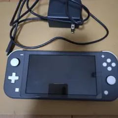 Nintendo Switch Lite グレー 充電器付き