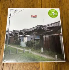 rei harakami lust アナログ レコード 2枚組 レイ・ハラカミ