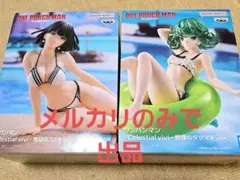 ワンパンマン フブキ タツマキ フィギュア Celestial viviのサムネイル