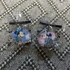 バラ売り可能 東京ディズニーシー アブーズバザール 景品 25周年ver