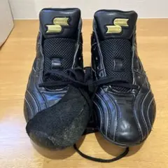 Item thumbnail for item a11fee0a-4efe-43b5-85e8-512f5ffce135