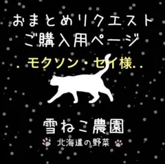 モクソン・セイ様 リクエスト 3点 まとめ商品