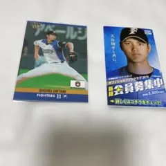 大*平様 大谷翔平