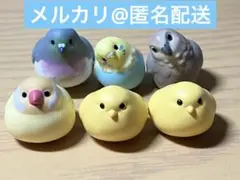 こーどのとりさん まとめ売り 6点セット