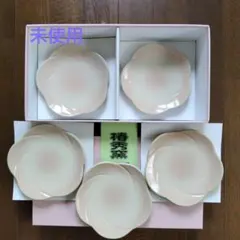 淡いピンク 花びら型皿 5枚セット