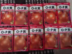 さち様 リクエスト 2点 まとめ商品