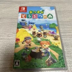 あつまれ どうぶつの森 Nintendo Switch
