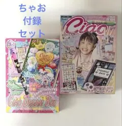 新品 ちゃお 付録 ドリーム ボックス ダイアリー 手帳 スケジュール