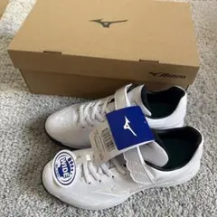 Item thumbnail for item 2386542c-47fc-44ff-839e-8bc5e1d25b17