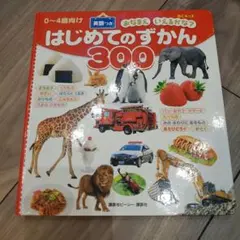 カサコ☆様 リクエスト 2点 まとめ商品