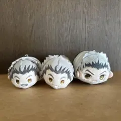 ハイキュー‼︎ 木兎光太郎 もちマス＆ぽてコロ