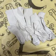 Item thumbnail for item 60918a47-663c-442b-bbc8-c0ce5c008c0f