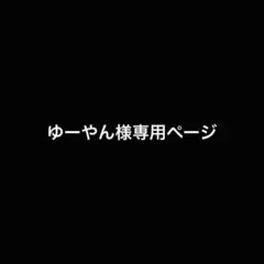 ゆーやん様専用　ページ