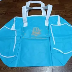 ♥️北海道日本ハムファイターズ ロゴ入りバッグ 10周年新品未使用♥️日ハム野球のサムネイル