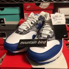 AM1 north supreme DUNK off-white JORDAN