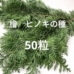 しず様 リクエスト 2点 まとめ商品