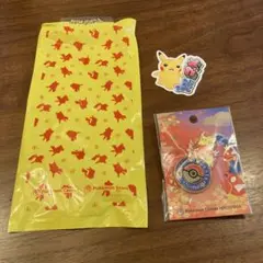 ポケモンセンターヒロシマ ロゴピンズ 赤いギャラドス ピカチュウ 広島限定品