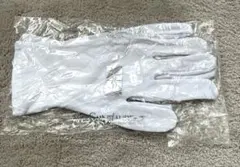 Item thumbnail for item cb4a2638-5335-49df-93f3-7342e427ba4f