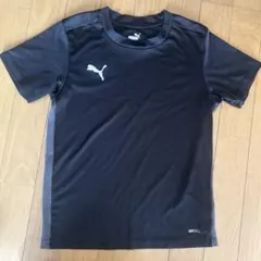 プーマウェア(140cm)