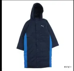 Item thumbnail for item c3fb9784-0d43-497c-b8fb-ab1a6f805f38