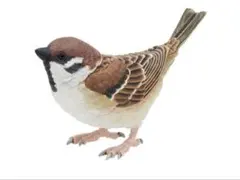 Item thumbnail for item a351e848-7137-49fa-890c-68545d510e9f