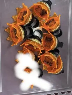 2025年最新】白膠木簓 リングライトの人気アイテム - メルカリ