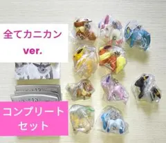 ポケットモンスター つまんでつなげてマスコット12＆13 全10種 カニカン