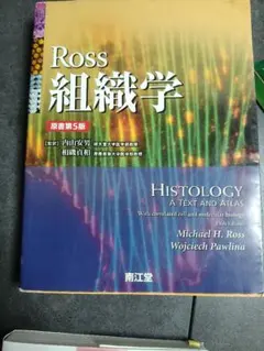 Item thumbnail for item 835fed52-fa29-4893-814c-52d25ada59b3