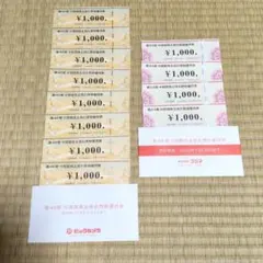 ビックカメラ コジマ 株主優待券 12,000円分