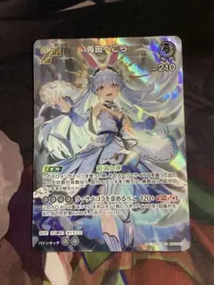 さとc様 リクエスト 2点 まとめ商品