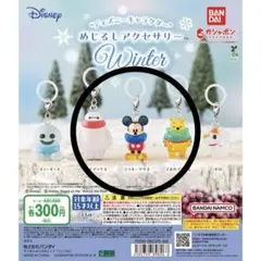 ディズニーキャラクター めじるしアクセサリー Winter 3個セット