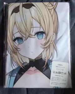 2025年最新】ホロライブ 抱き枕 風真いろはの人気アイテム - メルカリ